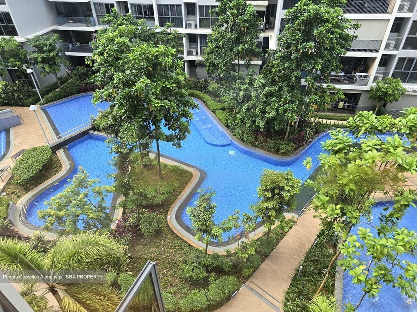 Woodlands Avenue 6 (D25), Condominium #470169431